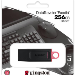 Kingston DataTraveler Exodia USB Stick - 256GB